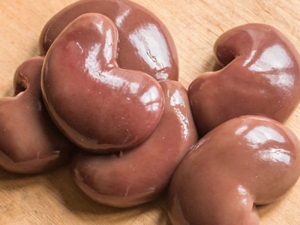 Kidneys